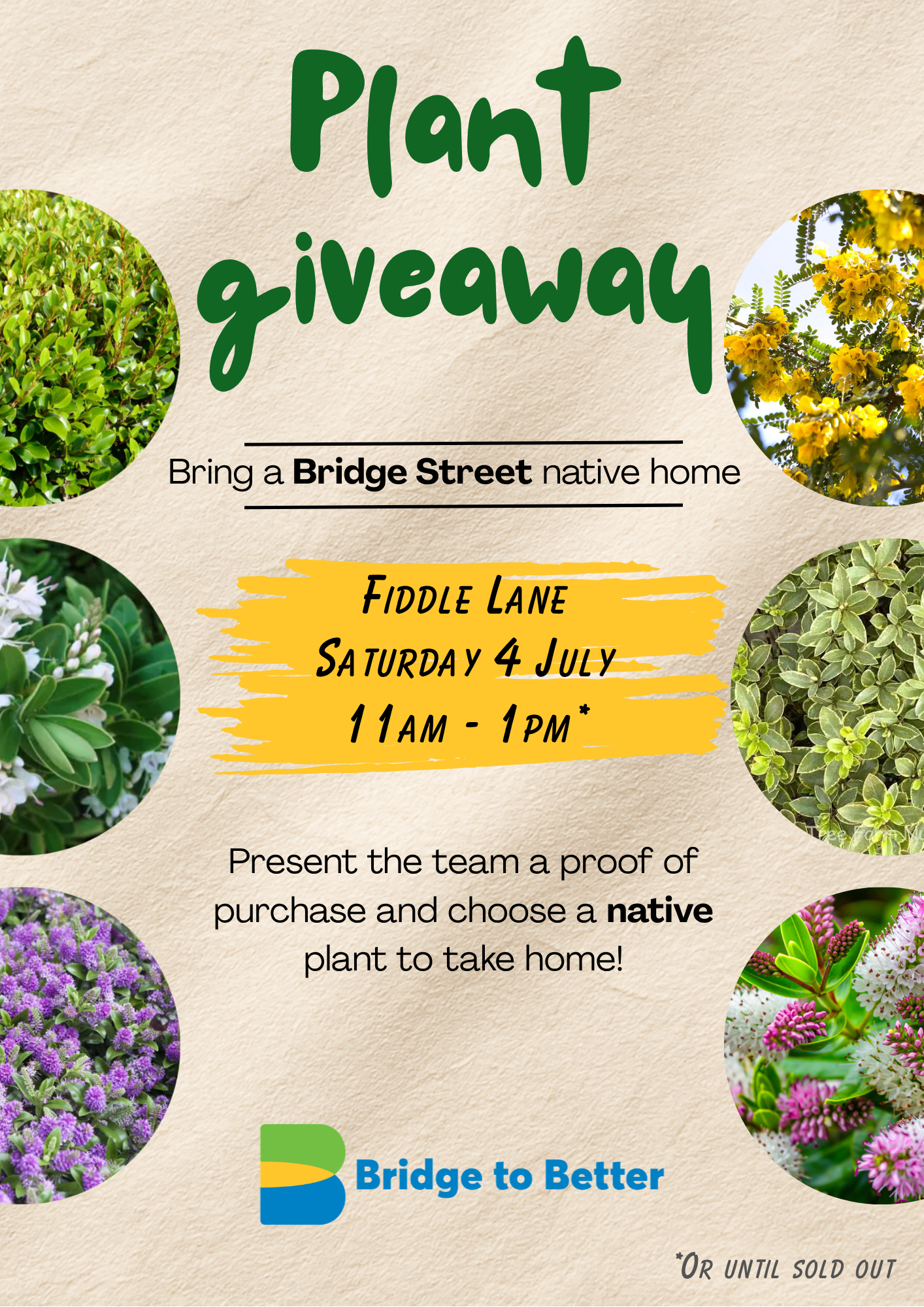 plant giveaway