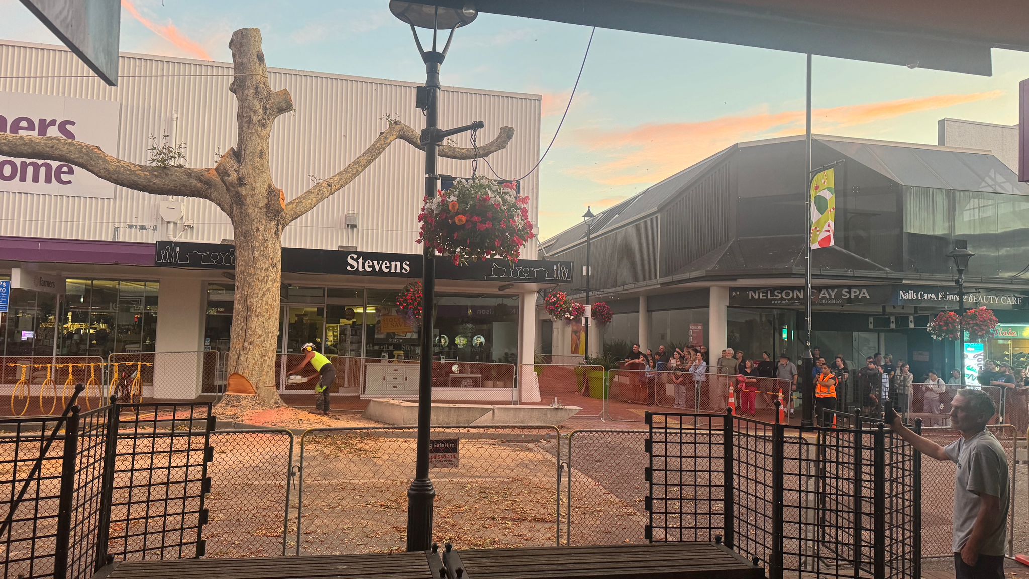 removal of tree outside Farmers