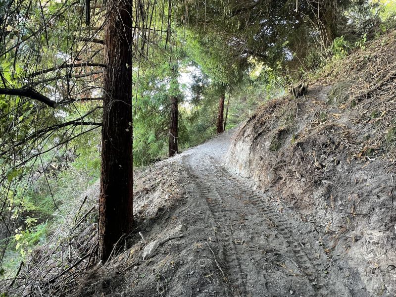 Stanley Whitehead track